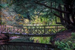Thorp Perrow Arboretum