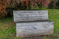 Bench at Thorp Perrow Arboretum