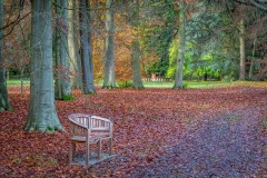 Thorp Perrow Arboretum