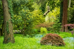 Thorp Perrow Arboretum