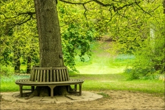 Thorp Perrow Arboretum