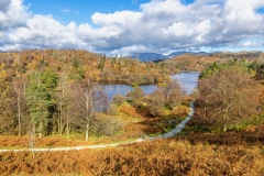 Tarn Hows