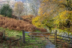 Tarn Hows walk
