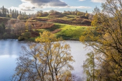 Tarn Hows