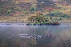 Crummock Water dawn