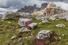 Tre Cime