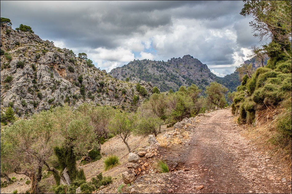 Balitx Valley Mallorca