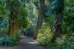 UBC Botanical Garden