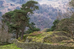 Ullswater walk