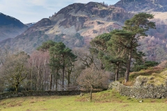 Glenridding Dodd