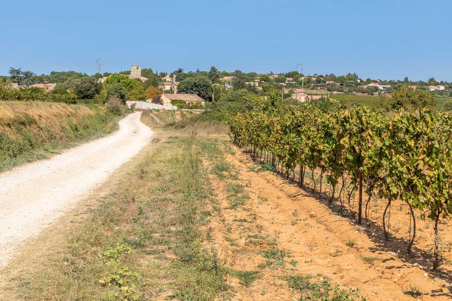 Vineyards near Sanilhac