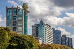Apartment block with tree on roof