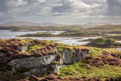 Northbay, Barra