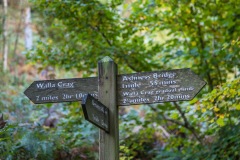 Walla Crag walk