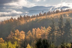 Whinlatter