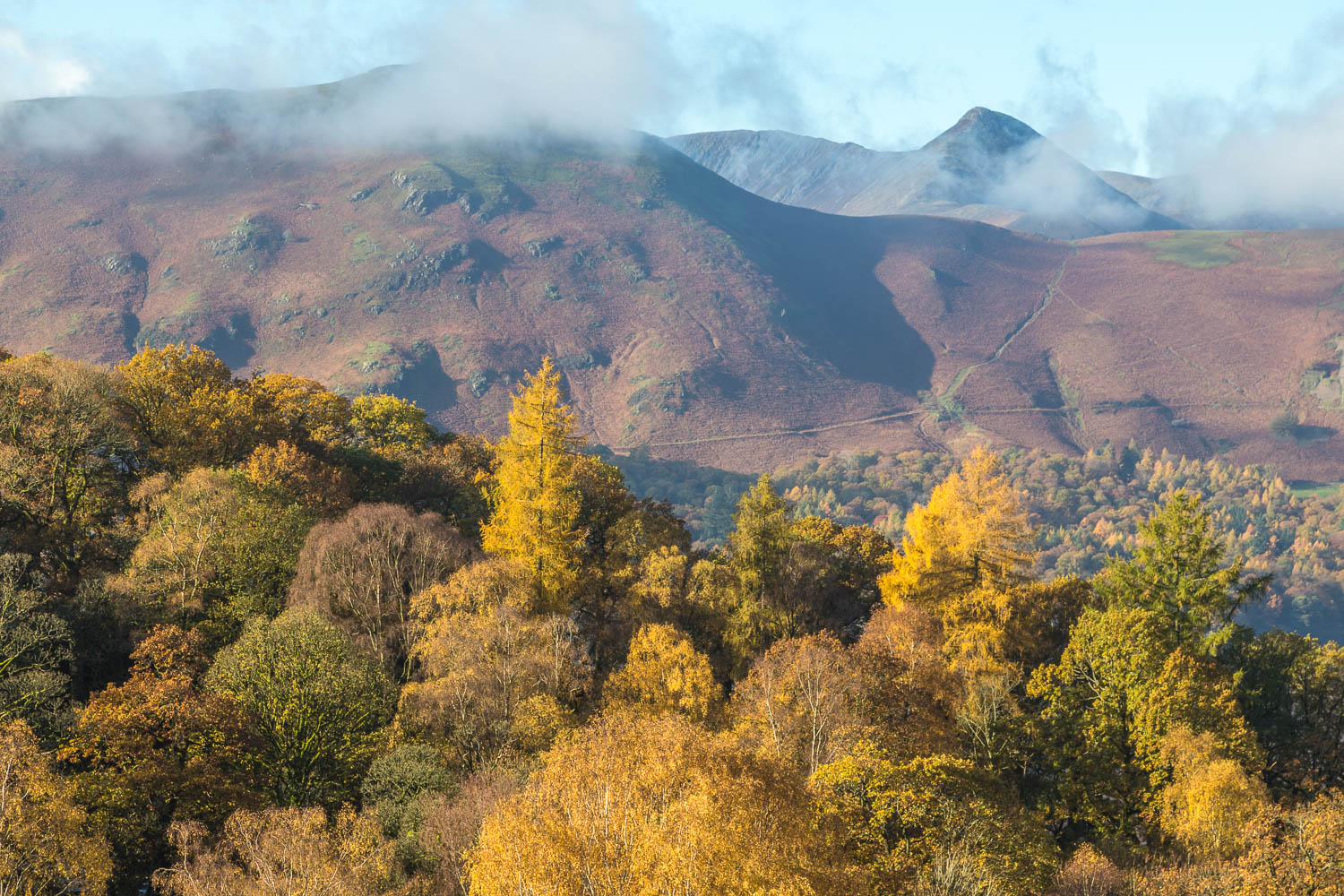 Catbells, Causey Pike