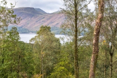 Catbells and Maiden Moor