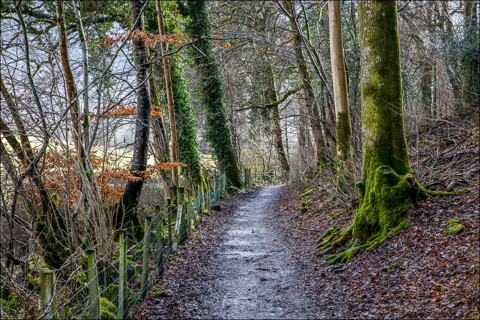 Walla Crag walk, Cockshott Wood