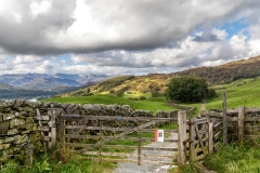 Wansfell walk
