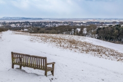 Elloughton Wold