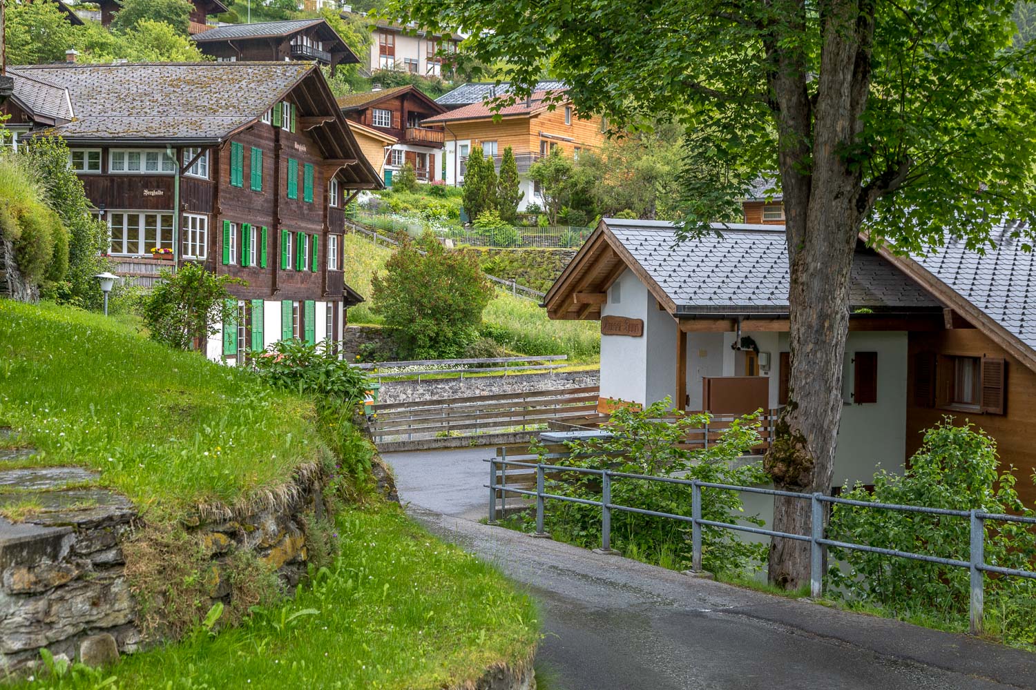 Wengen Wengen