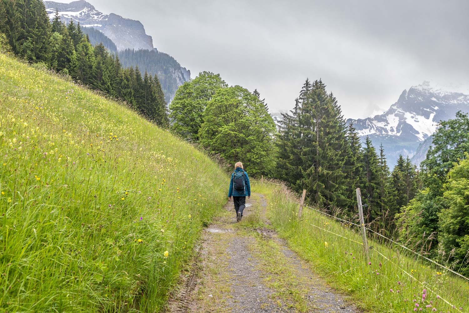 Mendelssohn Trail Mendelssohn Trail