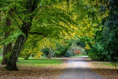 Westonbir Arboretum walk