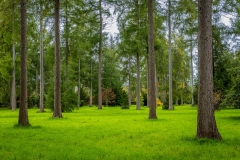 Westonbir Arboretum