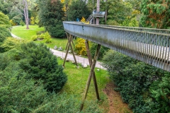 Westonbirt Arboretum, Treetop Walkway