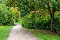 Westonbirt Arboretum