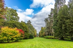 Holford Ride, Westonbirt Arboretum