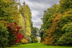 Holford Ride, Westonbirt Arboretum