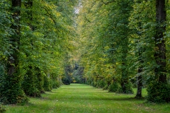 Westonbirt-Arboretum-51