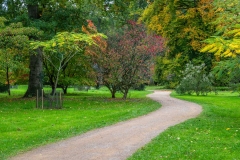 Westonbirt Arboretum walk