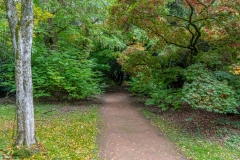 Westonbirt Arboretum