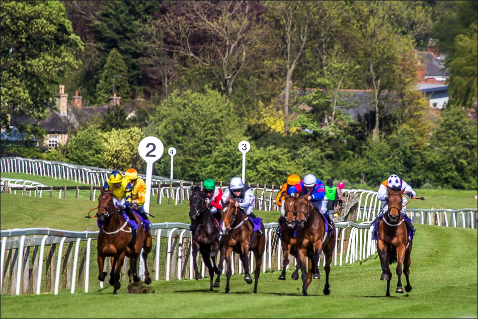 Beverley races