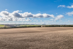 Wharram Percy walk