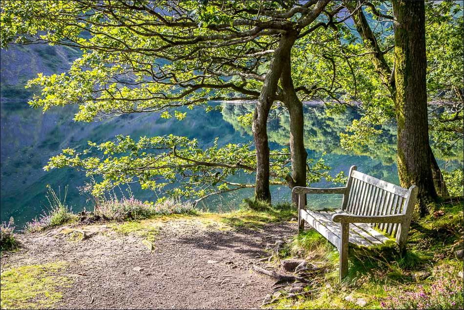 Wast Water bench