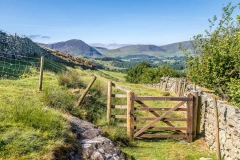 Lorton Vale