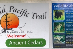 Wild Pacific Trail