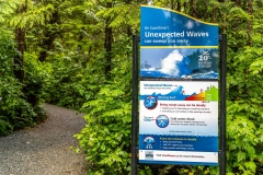 Wild Pacific Trail