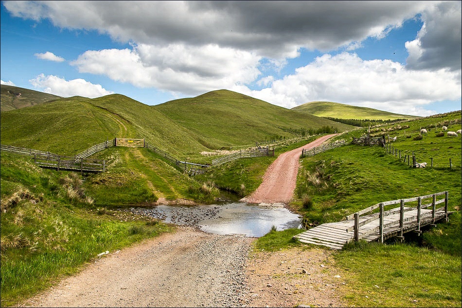 Windy Gyle walk, Trows Law Windy Gyle walk, Trows Law
