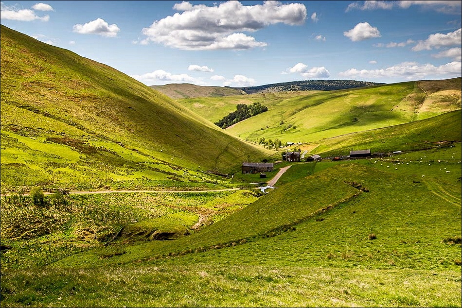 Windy Gyle walk, Trows Windy Gyle walk, Trows