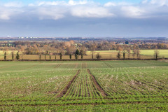 Wold Newton walk