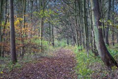 The Valley, Wold Newton