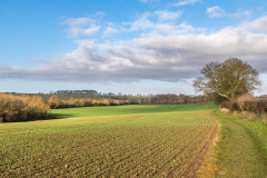 Wold Newton walk