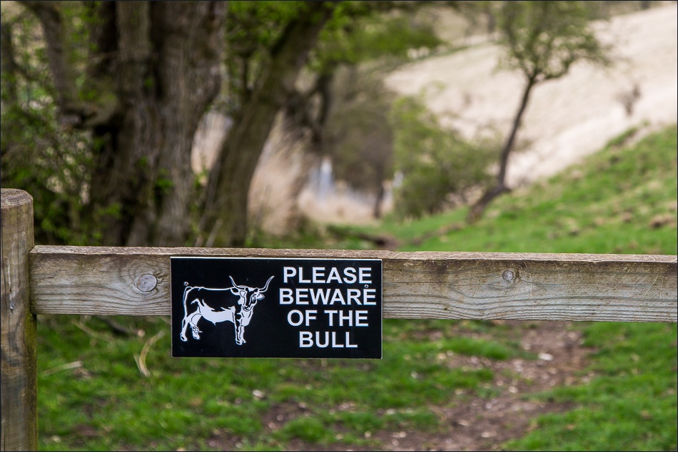 Wolds Way, beware of bull sign