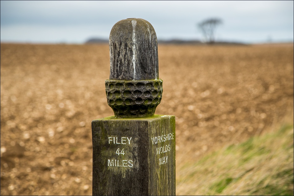 Wolds Way acorn sign