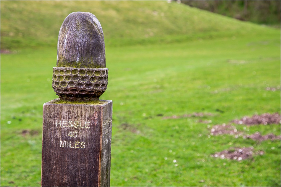Wolds Way acorn post