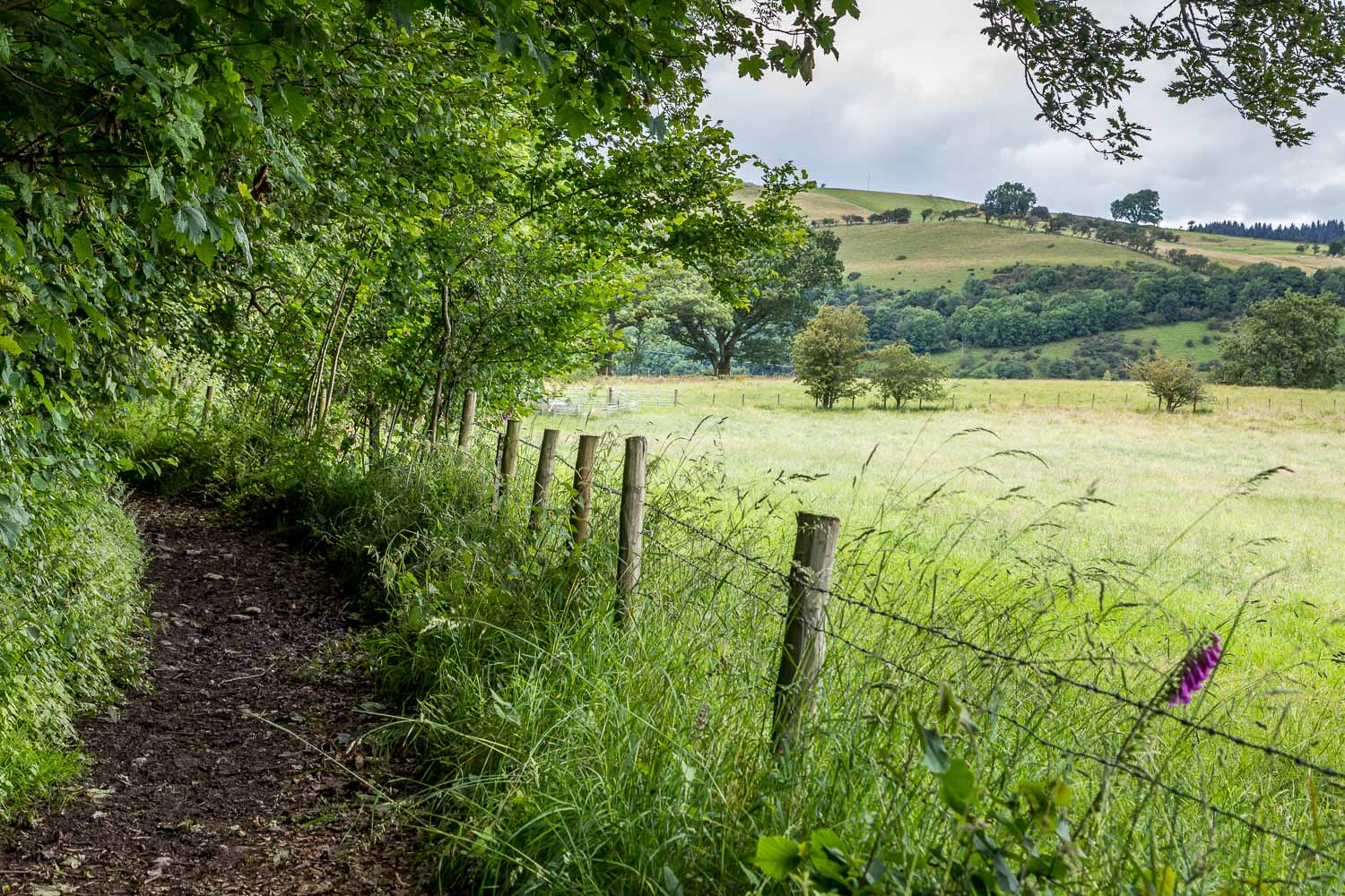 Wythop walk Lake District